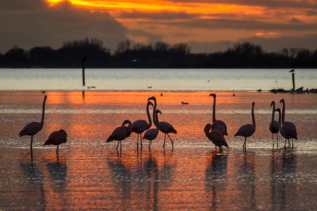Ijsvogel Apartment, Duplex Family Home 4-Bed Located On The Largest Saltwater Lake ブライニッセ エクステリア 写真